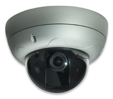 Intellinet PRO SERIES NETWORK HIGH RES Dome Camera